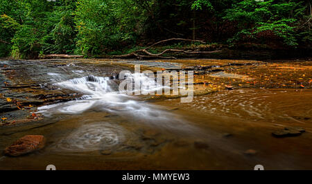 Une petite cascade sur Brandywine Creek dans le parc national de Cuyahoga Valley dans l'Ohio. Vu ici en été avec un faible débit d'eau. Banque D'Images