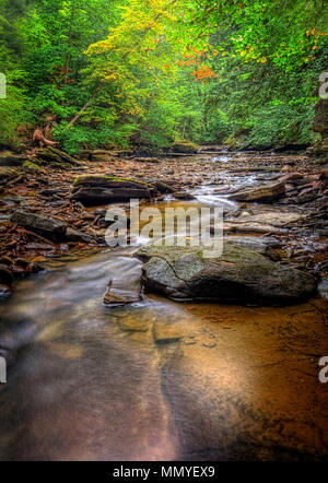 Une petite cascade sur Brandywine Creek dans le parc national de Cuyahoga Valley dans l'Ohio. Vu ici en été avec un faible débit d'eau. Banque D'Images