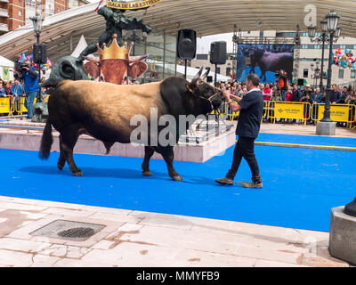 OVIEDO, ESPAGNE - 12 mai 2018 : le taureau à l'Éleveur présente le spectacle de gala de reproduction au Plaza Rendez Asturianos sur l'Ascension juste, Vo Banque D'Images