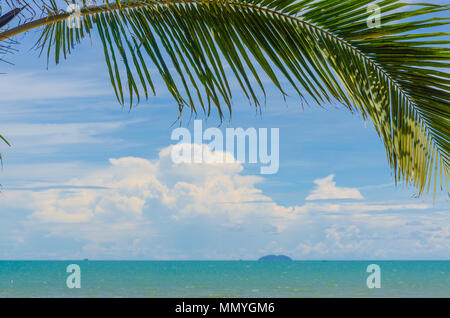 De beaux palmiers et de la mer et du ciel. Banque D'Images