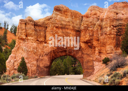 Voûte en pierre rouge sur l'autoroute 12 à Bryce Canyon, Utah, USA. Ce tunnel a été coupé à travers la roche et la route passe par Dixie Forest. Banque D'Images