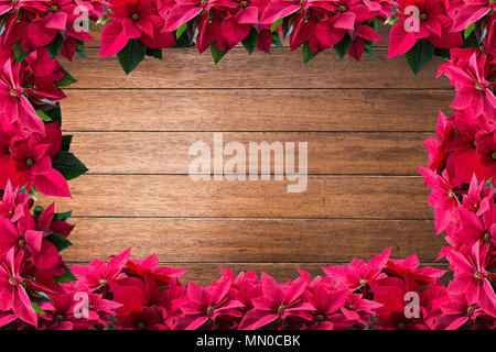 Poinsettia Noël rouge fleur cadre sur la planche en bois élégant brillant surface texture de fond. Banque D'Images