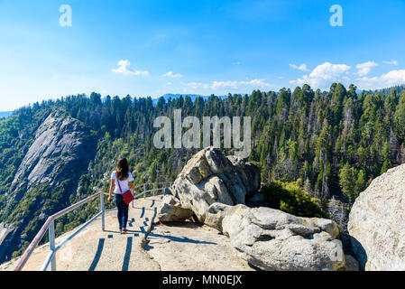 Randonneur à Moro Rock. Randonnées à Sequoia National Park, Californie, USA Banque D'Images
