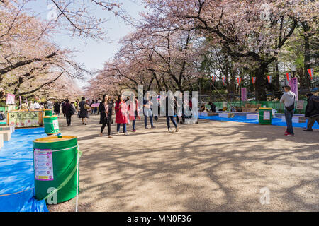 Tokyo, Japon - 31 mars 2018 : Les visiteurs apprécient la fleur de cerisier dans le parc Ueno Tokyo, Japon en Festival Sakura Banque D'Images