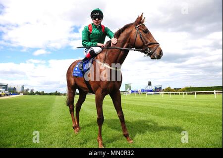 Hazappour et jockey Declan McDonogh poser après avoir remporté le Derrinstown Stud Derby Trial pendant Derrinstown Stud Derby Trial journée à l'hippodrome de Leopardstown, Dublin. Banque D'Images