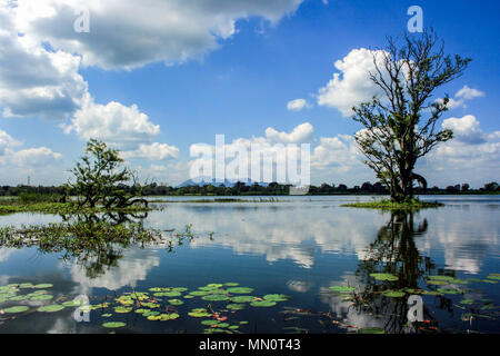 Lac Giritale Habarana, dans le district d'Anuradhapura de Sri Lanka Banque D'Images