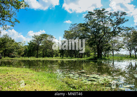 Lac Giritale Habarana, dans le district d'Anuradhapura de Sri Lanka Banque D'Images