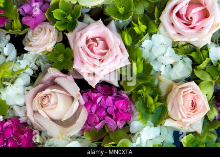 Fond de fleurs pastel et roses en rose, blanc et vert Banque D'Images