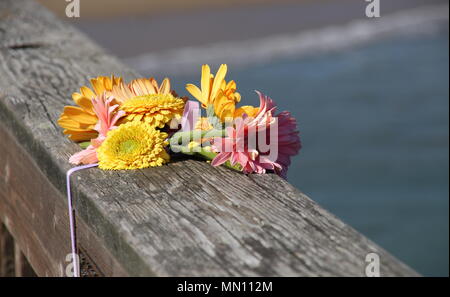 Bouquet de marguerites shasta sur une balustrade de bois, en souvenir d'un être cher. Banque D'Images