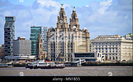 Liverpool, Royaume-Uni. 13 mai, 2018. Ferry Mersey et le foie se dorer les oiseaux au printemps soleil, Ian crédit Fairbrother/Alamy Banque D'Images