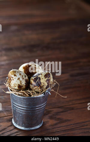 Petit seau décoratif en métal rempli d'oeufs de caille frais sur la table en bois sombre, close-up, selective focus. Décoration rurale. Studio shot. Com bio Banque D'Images