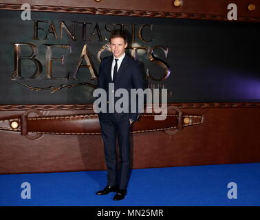 Londres, ANGLETERRE - 15 novembre : Eddie Redmayne assiste à la première européenne de "Vie et habitat des animaux fantastiques" à l'Odeon Leicester Square le 15 novembre 2016 à Londres, en Angleterre. Banque D'Images