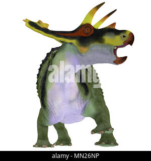 Dinosaure Anchiceratops sur blanc - Anchiceratops ornatus était un dinosaure cératopsien herbivores qui vivaient en Alberta, Canada dans la période du Crétacé. Banque D'Images