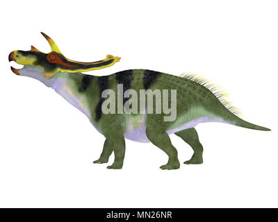 Dinosaure Anchiceratops - Anchiceratops ornatus était un dinosaure cératopsien herbivores qui vivaient en Alberta, Canada dans la période du Crétacé. Banque D'Images