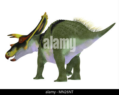 Queue de dinosaure Anchiceratops - Anchiceratops ornatus était un dinosaure cératopsien herbivores qui vivaient en Alberta, Canada dans la période du Crétacé. Banque D'Images