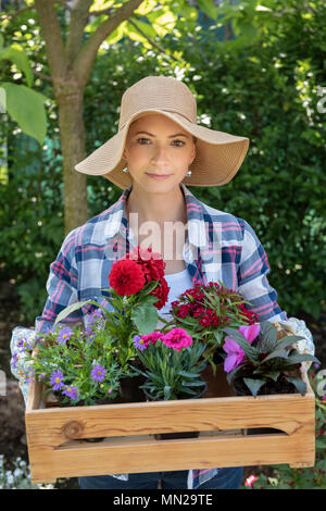 Belle femme jardinier wearing straw hat holding des caisses en bois plein de fleurs prêts à être plantés dans son jardin. Concept de jardinage. Banque D'Images