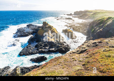 Vue depuis Southpoint lookout au rock dans l'océan avec de fortes vagues à l'Nobbies, Phillip Island, Victoria, Australie Banque D'Images