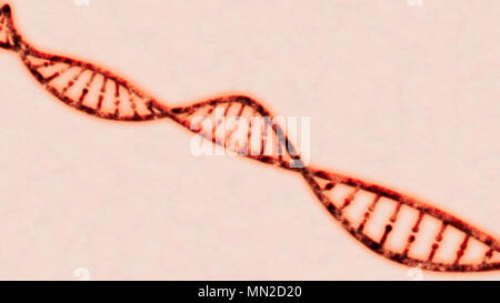 L'acide désoxyribonucléique, l'ADN est un thread comme chaîne de nucléotides portant les instructions génétiques de tous les organismes vivants connus. DNA helix rouillé Banque D'Images