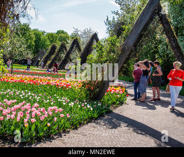 Britzer Garten, Neukölln, Berlin, Allemagne. En 2018. Jardin avec des bulbes de printemps, les gens marcher sur chemin parmi les tulipes colorées. Banque D'Images