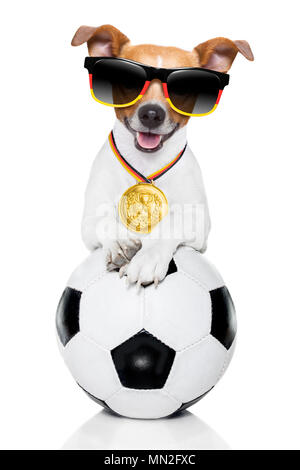 Jack Russell soccer chien jouant avec boule en cuir , isolé sur fond blanc et drapeau allemand portant des lunettes de soleil Banque D'Images