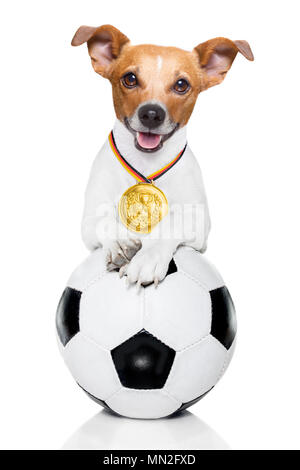 Jack Russell soccer chien jouant avec boule en cuir , isolé sur fond blanc et drapeau allemand Banque D'Images