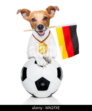 Jack Russell soccer chien jouant avec boule en cuir , isolé sur fond blanc et drapeau allemand Banque D'Images