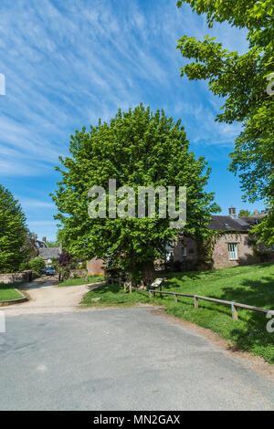 Général de la pittoresque Martyrs ouvriers agricoles arbre dans le petit village de Tolpuddle dans Dorset Banque D'Images