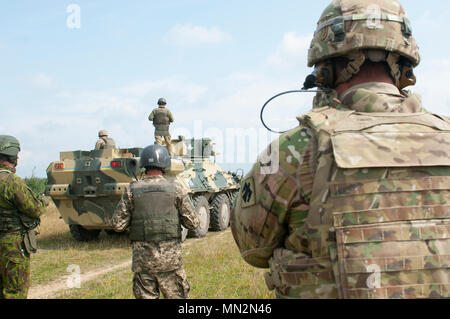 Un observateur de l'Ukraine Coach Trainer, ainsi qu'avec des mentors de la Lituanie et de l'armée américaine 45th Infantry Brigade Combat Team, regardent les soldats du 1er Bataillon de l'Ukraine, 95e brigade aéromobile conduite séparée monté et démonté combiné formation techniques de mouvement en utilisant leur véhicule blindé BTR-3 au Centre de formation de combat de Yavoriv sur le maintien de la paix internationale et la sécurité près de l'viv, l'Ukraine le 21 août. La 45e IBCT est déployée à l'Ukraine dans le cadre du Projet conjoint de formation Group-Ukraine multinationale, une coalition internationale dédiée à l'amélioration de Banque D'Images