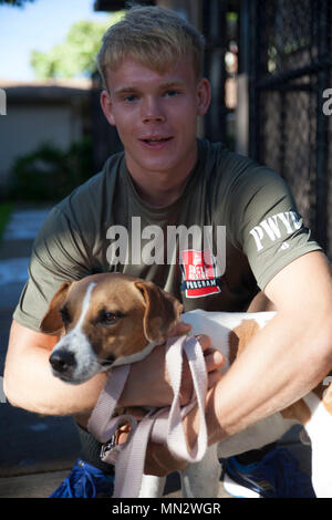 Lance le Cpl. Andrew Oziemkiewicz, une cellule avec des hélicoptères lourds mécanicien Marine Escadron 463, pose avec Rex, un chien adoptables, à la Hawaiian Humane Society lors d'un seul événement Programme marin et maritime à Honolulu, Hawaï, le 20 août 2017. L'Hawaiian Humane Society a organisé une promenade de chiens de bénévolat pour le Programme marin et maritime unique de participer et de donner en retour à leur communauté locale. L'objectif de la SMSP est d'améliorer le moral des membres de services américain et les communes limitrophes avec différentes activités bénévoles et les activités récréatives. (U.S. Photo par Marine Corps Banque D'Images