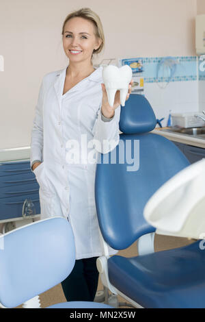 Portrait de belle femme dentiste dent holding model posing in office de clinique moderne, comité permanent smiling heureusement montrant les dents blanches et lo Banque D'Images