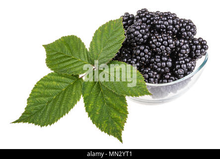 Les mûres délicieux dans la cuvette en verre. Les Rubus. Végétarienne dessert sucré close-up. Tas de petits fruits frais et fruité juteux feuille verte. Isolé sur blanc. Banque D'Images