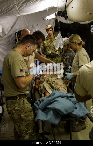 Le capitaine de l'armée britannique Ryan Adams, centre, de l'hôpital de campagne écossais 205, Glasgow, Ecosse, observe les membres de service américain d'effectuer un acte médical sur un soldat blessé au cours d'un mannequin de formation médicale le 20 août 2017, scénario, dans le cadre de Global Medic à Fort McCoy, Wisconsin. Plus de 12 000 soldats de l'armée américaine, la marine des États-Unis, U.S. Air Force, Corps des Marines des États-Unis et six autres pays sont la formation de Fort McCoy, Wisconsin, dans le cadre de la 84e de commande Formation CSTX 86-17-02 et ARMEDCOM's Global Medic, une articulation et exercice multinational visant à assurer que l'Amérique a un Banque D'Images