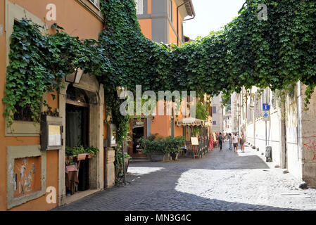 Légumes verts à la rue pavée bordée de tavernes et restaurants dans le Trastevere, Rome, Italie. Banque D'Images