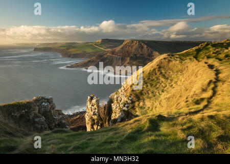 La Côte Jurassique de St Aldhelm's Head, Dorset, England, UK Banque D'Images