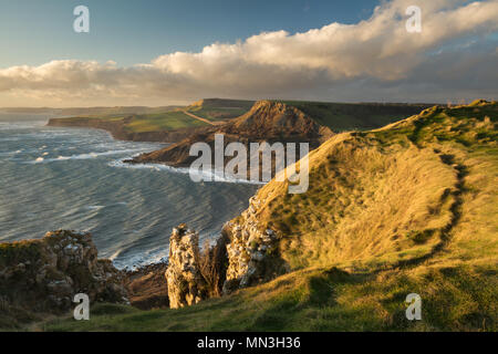 La Côte Jurassique de St Aldhelm's Head, Dorset, England, UK Banque D'Images