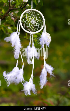 Dreamcatcher blanc sur fond d'un jardin verdoyant. Banque D'Images