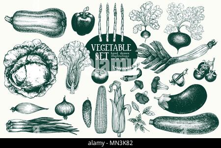 Légumes hand drawn vector illustration set. Illustrations de style rétro gravé. Peut être utiliser pour l'emballage, l'étiquette, le menu, les produits du marché. Illustration de Vecteur