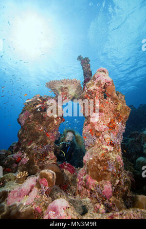 Scuba Diver femme regarde à travers une arche de corail Banque D'Images