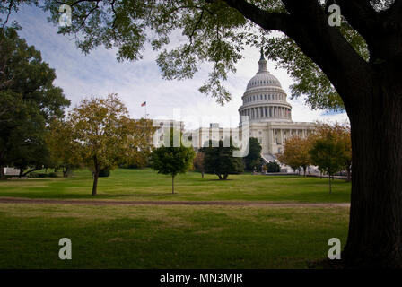 Le United States Capitol Building encadrés par des arbres. Prises depuis le côté ouest face au National Mall. Banque D'Images