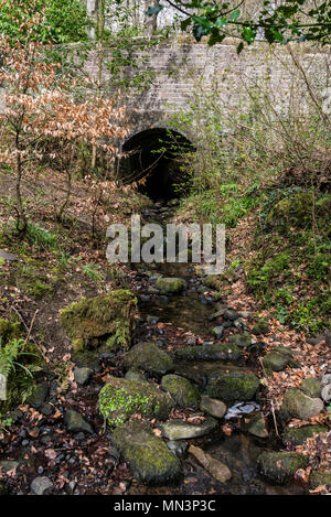 Un pont sur un petit ruisseau dans Almondell & Calderwood Country Park, West Lothian Banque D'Images