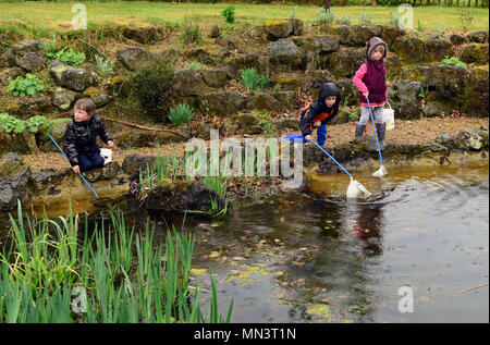 Dans un étang de pêche pour les enfants dans le cadre d'une nature et jardins de la sensibilisation et l'expérience jour, Hindhead, Surrey, UK. 12.05.2018. Banque D'Images