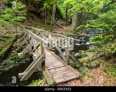 Un chemin de randonnée avec pont à Ravenne la gorge, près de Hinterzarten, Forêt Noire, Bade-Wurtemberg, Allemagne Banque D'Images