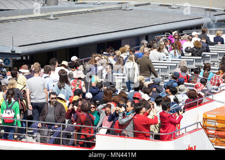 London,UK,14 mai 2018,les gens au sommet d'une croisière sur la rivière dans le centre de Londres : les prévisions météo est de rester réglé pour le reste de la semaine©Keith Larby/Alamy Live News Banque D'Images