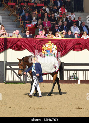 Château de Windsor, Royaume-Uni. 13 mai 2018. Château de Windsor, Royaume-Uni. 13 mai 2018. Le Royal Windsor Horse Show au Home Park Private Windsor Castle UNE cérémonie spéciale de retraite pour le champion de famille de la Reine, Barbers Shop, qui a lieu pendant le spectacle, dans l’après-midi du dimanche 13 2018 mai Banque D'Images