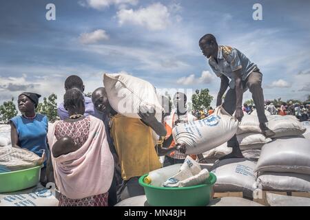 7 mai 2018 - L'Ouganda, Bidi Bidi - réfugiés soudanais du sud vu la collecte de farine de manioc fournies par le Programme alimentaire mondial à l'établissement des réfugiés..La Bidi Bidi l'établissement des réfugiés dans le nord de l'Ouganda, près de la frontière avec le Soudan du Sud est actuellement le plus grand camp de réfugiés au monde, accueillant plus de 250 000 réfugiés soudanais du sud fuyant le conflit. Le programme alimentaire mondial fournit des approvisionnements alimentaires de base mensuel pour les réfugiés dans le règlement. (Crédit Image : © Geovien/SOPA ainsi des images à l'aide de Zuma sur le fil) Banque D'Images