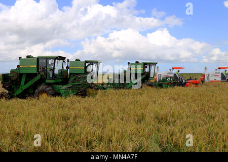 (180514) -- GAZA(MOZAMBIQUE), le 14 mai 2018 (Xinhua) -- exploitants travaillent dans le champ de riz de Wanbao rizière dans la province de Gaza, au Mozambique, le 4 avril 2018. La ferme de riz au Mozambique Wanbao, investi par le Fonds de développement sino-africain, est le plus grand de ce type entrepris par la Chine en Afrique. Le projet, un plan d'entreprise qui intègre des plantations, le stockage, la transformation et la vente, vise à développer 20 000 hectares de terres agricoles, et va conduire les agriculteurs dans les régions avoisinantes de cultiver plus de 80 000 autres hectares. (Xinhua) (SXK) Banque D'Images