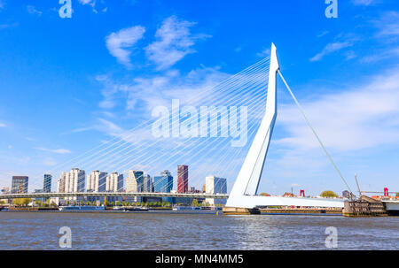 Le Pont Erasmus à Rotterdam, Pays-Bas Banque D'Images