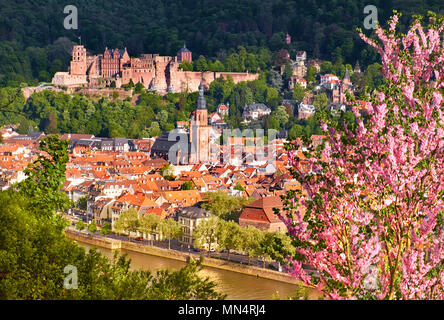 Heidelberg et ruines de château d'Heidelberg (Heidelberger Schloss) dans une belle journée au printemps. Photo a été prise à Heidelberg, en Allemagne, à partir de la colline Banque D'Images