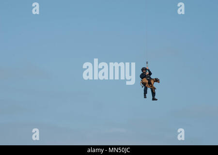 Maître de 1re classe Cory Sumner, un chien-chien stationné à la sécurité maritime et la sécurité, l'équipe de San Francisco et sa détection des explosifs-Feco canine, sont déployées à partir d'une station d'Air San Francisco MH-65 de l'hélicoptère Dauphin de la Garde côtière dans l'Île à Alameda, Californie, 16 août 2017. La station de l'air régulièrement des trains avec San Francisco San Francisco de la TDDSM pour maintenir les compétences dans les opérations d'insertion verticale. (U.S. Photo de la Garde côtière du Maître de 2e classe le juge Cory Mendenhall/libérés) Banque D'Images