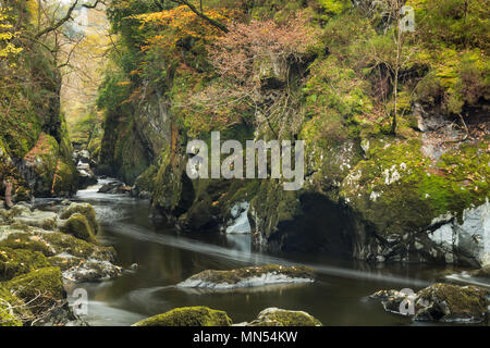 La Fairy Glen, Conway Valley, Galles, Royaume-Uni Banque D'Images